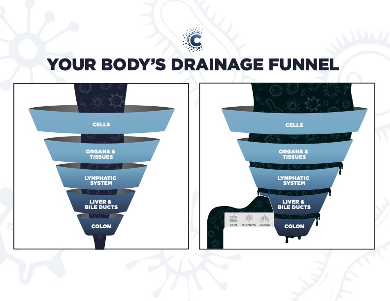 Wellness Waz Drainage Funnel Explanation 1