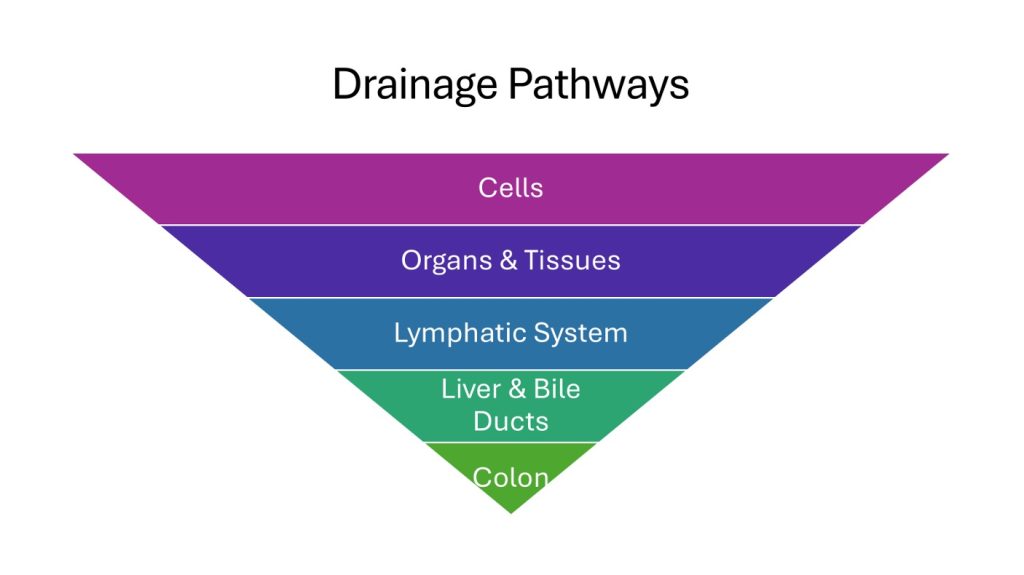 Drainage Pathways