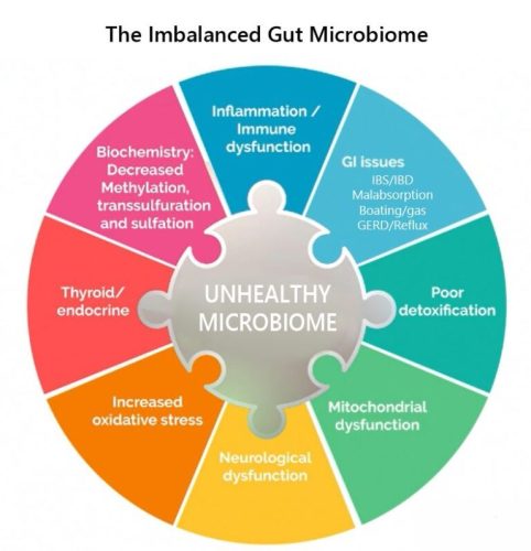 alternative-medicine-houston-tx-wellness-waz-5-4-2026-6