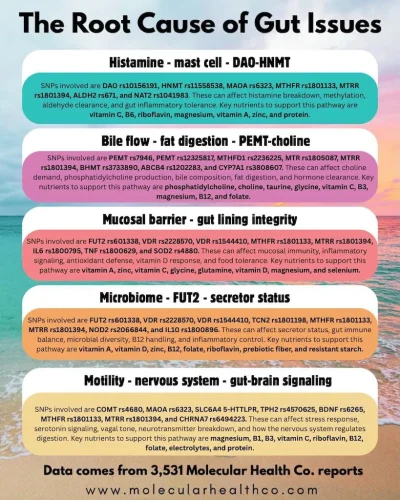 alternative-medicine-houston-tx-wellness-waz-7-1-2026-002