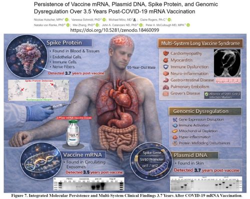 alternative-medicine-houston-tx-wellness-waz-7-6-2026-7